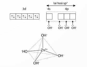 Mô tả sự hình thành liên kết trong ion phức tứ diện [Zn(OH)4]2- trang 39 Chuyên đề Hóa 12