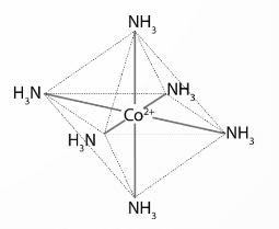 Hãy dự đoán và biểu diễn dạng hình học của ion phức chất [Co(NH3)6]2+
