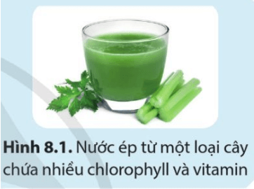 Chlorophyll (hay chất diệp lục) là phức chất có nhiều trong lá cây. Hãy cho biết vai trò