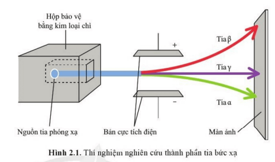 Qua thí nghiệm nghiên cứu thành phần tia bức xạ từ phóng xạ tự nhiên