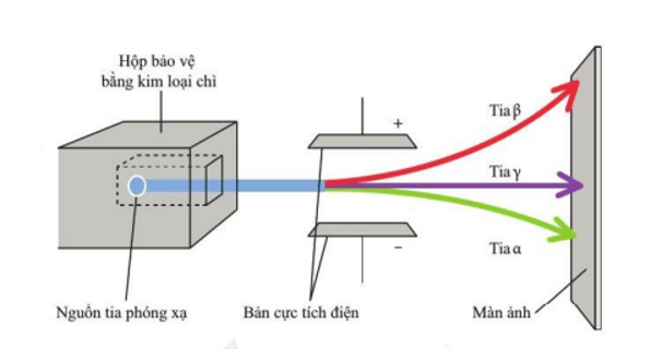 Khi chiếu chùm tia phóng xạ (α, β, γ) đi vào giữa hai bản điện cực
