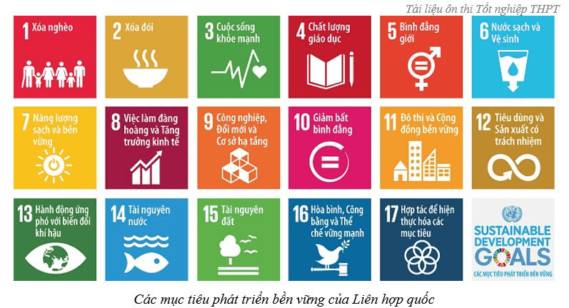 Vai trò của Liên hợp quốc (chi tiết nhất)
