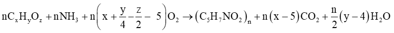  Quá trình phân giải hiếu khí gồm ba giai đoạn: Giai đoạn 1: Oxi hóa các hợp chất hữu cơ (ảnh 2)