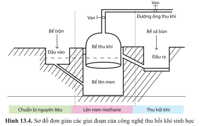 Quan sát hình 13.4 và cho biết các giai đoạn của công nghệ lên men thu