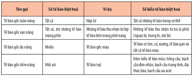 Dựa vào Bảng 4.1 để trả lời các Hình thành kiến thức mới sau trang 29 Chuyên đề học tập Sinh học 10 CTST