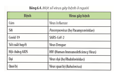 Đọc thông tin ở các Bảng 6.1, 6.2, 6.3 và 6.4 hãy kể tên những tác nhân đã từng gây nên bệnh dịch 
