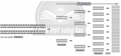 Trong khoa học hình sự, sau khi các mẫu tinh dịch, máu,... được thu nhận từ hiện trường vụ án 