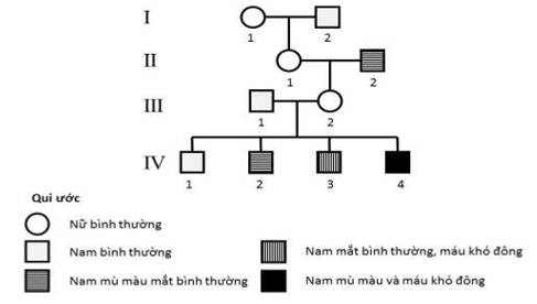 Bài tập phả hệ hai tính trạng và cách giải