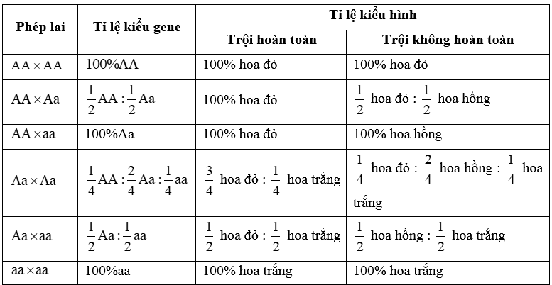 Bài tập về quy luật phân li đối với gene 2 allele và cách giải