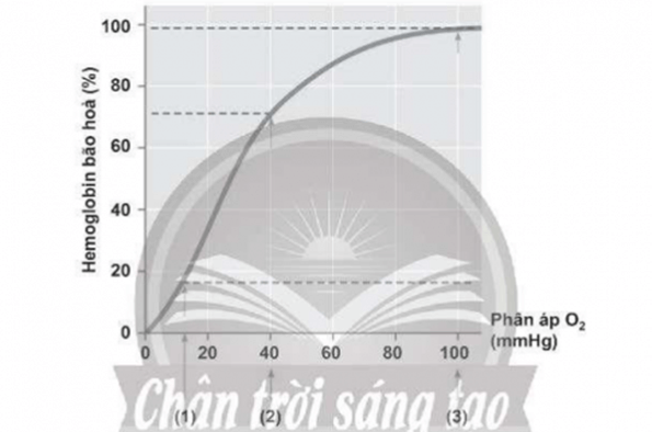 Cân bằng nội môi (chi tiết nhất)