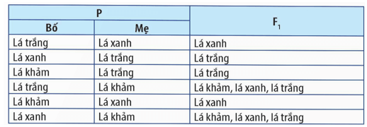 Di truyền ngoài nhân là gì (ngắn gọn nhất)