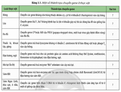 Hãy cho biết vai trò của các giống thực vật chuyển gene trong Bảng 3.1