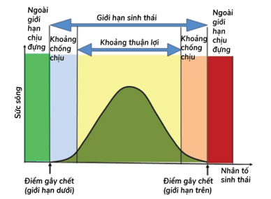 Các quy luật sinh thái (khái niệm, phân loại, đặc điểm)