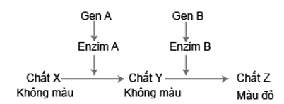 Tương tác bổ sung (bài tập và cách giải)
