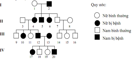 Công thức di truyền học người (Phương pháp giải bài tập chi tiết)