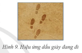 Hãy hình dung một người vô hình đang bước đi, chỉ để lại dấu giày như hình 9