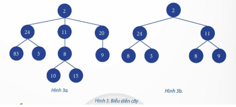 Cho các cây như ở Hình 3. Cho biết: Nút gốc, nút nhánh, nút lá ở Hình 3a