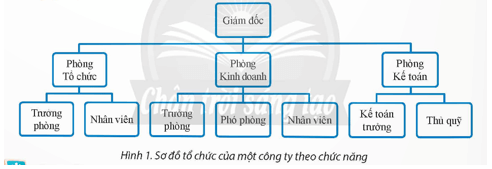 Quan sát sơ đồ tổ chức của một công ty ở Hình 1 và cho biết