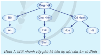 Em hãy quan sát một nhánh cây phả hệ ở Hình 1 và cho biết Bình phải xưng hô với An như thế nào