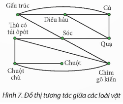 Hình 7 là đồ thị cho biết sự tương tác giữa các loài động vật. Mỗi loài được biểu diễn bằng một đỉnh