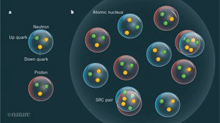 Các hạt cơ bản cấu tạo nên vật chất được phân loại như thế nào?