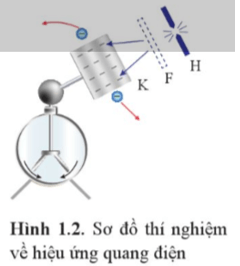 Vì sao trong thí nghiệm ở  Hình 1.2, hai lá của điện nghiệm lại xoè ra khi tích điện âm