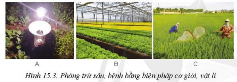 Lý thuyết Công nghệ 10 Cánh diều Bài 15: Biện pháp phòng trừ sâu, bệnh hại cây trồng | Công nghệ trồng trọt 10