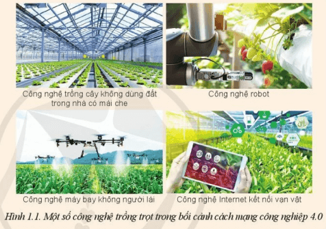 Công nghệ trồng trọt (Agricultural Technology): Sự phát triển của công nghệ trồng trọt đang mang lại những lợi ích không ngờ cho nền nông nghiệp. Xem qua hình ảnh liên quan đến công nghệ trồng trọt này để tìm hiểu thêm về những tiến bộ mới nhất.