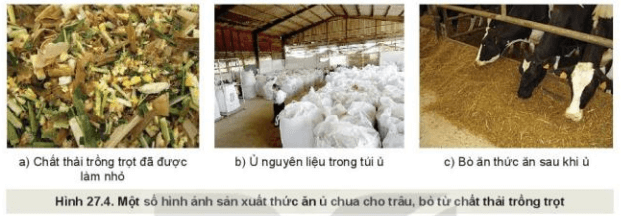 Lý thuyết Công nghệ 10 Kết nối tri thức Bài 27: Ứng dụng công nghệ vi sinh trong bảo vệ môi trường và xử lí chất thải trồng trọt | Công nghệ trồng trọt 10