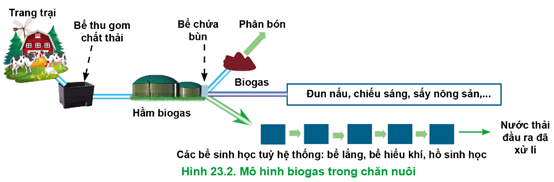   Hãy quan sát Hình 23.2 và mô tả quy trình xử lí chất thải bằng công nghệ biogas