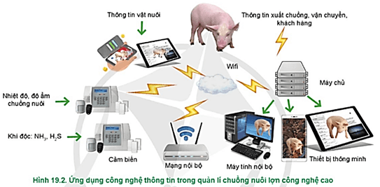  Hãy mô tả quy trình quản lí chuồng nuôi trong mô hình chăn nuôi lợn công nghệ cao ở Hình 19.2