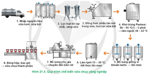  Hãy mô tả quy trình chế biến sữa chua ở quy mô công nghiệp trong Hình 21.3
