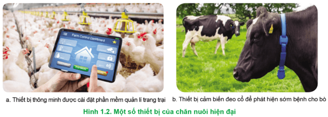  Hãy phân tích lợi ích của các thiết bị chăn nuôi hiện đại trong Hình 1.2