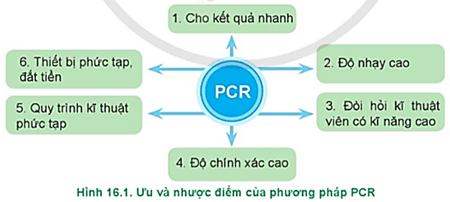  Hãy quan sát Hình 16.1 nêu ưu và nhược điểm của phương pháp PCR trong chẩn đoán bệnh vật nuôi