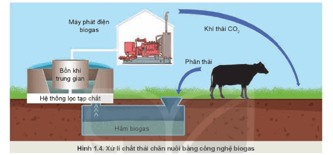 Quan sát Hình 1.4 và nêu ý nghĩa của việc ứng dụng công nghệ biogas 