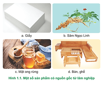 Hãy nêu công dụng của các sản phẩm trong Hình 1.1 trang 5 Công nghệ 12