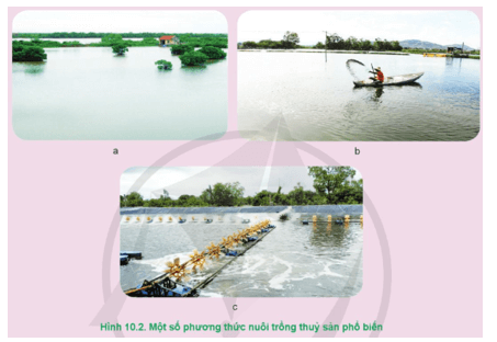 Nêu tên các phương thức nuôi trồng thủy sản có trong Hình 10.2 trang 52 Công nghệ 12