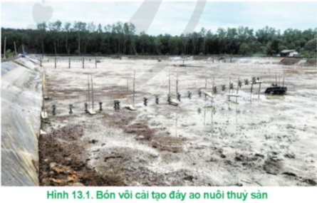 Lý thuyết Công nghệ 12 Cánh diều 13: Xử lí môi trường nuôi thuỷ sản | Lâm nghiệp Thủy sản 12