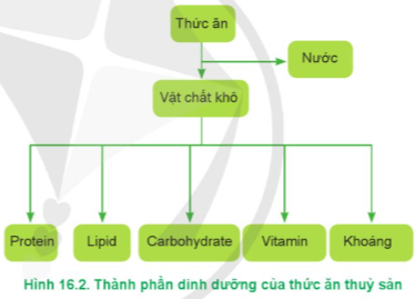 Lý thuyết Công nghệ 12 Cánh diều Bài 16: Thành phần dinh dưỡng của thức ăn thuỷ sản | Lâm nghiệp Thủy sản 12