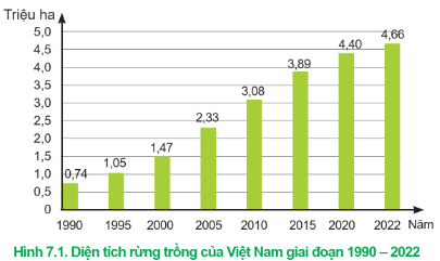 Lý thuyết Công nghệ 12 Cánh diều Bài 7: Thực trạng trồng, chăm sóc, bảo vệ và khai thác rừng | Lâm nghiệp Thủy sản 12