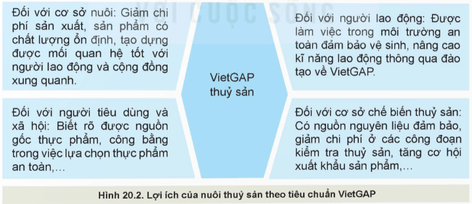 Quan sát Hình 20.2 và phân tích lợi ích của nuôi trồng thủy sản