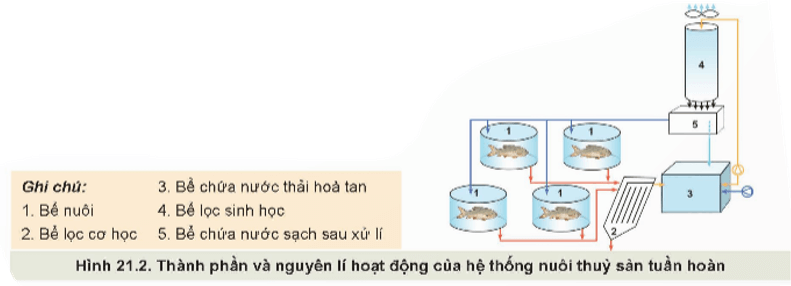 Quan sát Hình 21.2, mô tả thành phần và nguyên lí hoạt động của hệ thống