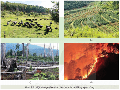 Quan sát Hình 2.2 và phân tích các nguyên nhân làm suy thoái tài nguyên rừng