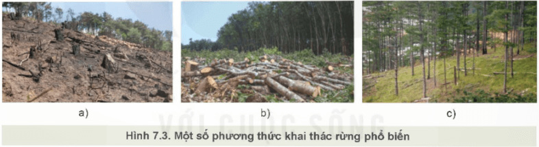 Mô tả các phương thức khai thác tài nguyên rừng phù hợp với Hình 7.3