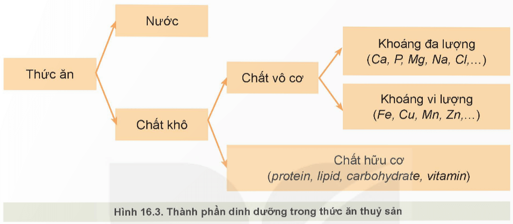 Quan sát Hình 16.3 và nêu thành phần dinh dưỡng trong thức ăn thủy sản