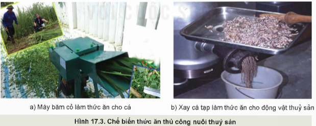 Lý thuyết Công nghệ 12 Kết nối tri thức Bài 17: Phương pháp bảo quản và chế biến thức ăn thuỷ sản | Lâm nghiệp Thủy sản 12