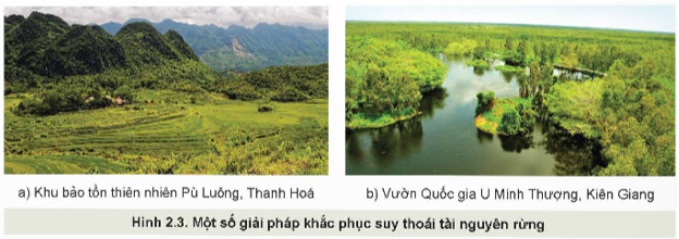 Lý thuyết Công nghệ 12 Kết nối tri thức Bài 2: Các hoạt động lâm nghiệp cơ bản và nguyên nhân chủ yếu làm suy thoái tài nguyên rừng | Lâm nghiệp Thủy sản 12