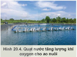 Lý thuyết Công nghệ 12 Kết nối tri thức Bài 20: Nuôi thuỷ sản theo tiêu chuẩn VietGAP | Lâm nghiệp Thủy sản 12