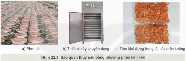 Lý thuyết Công nghệ 12 Kết nối tri thức Bài 22: Bảo quản và chế biến sản phẩm thuỷ sản sản | Lâm nghiệp Thủy sản 12