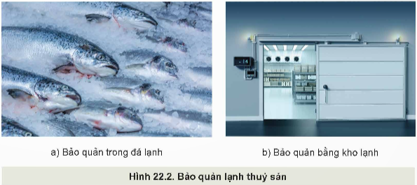 Lý thuyết Công nghệ 12 Kết nối tri thức Bài 22: Bảo quản và chế biến sản phẩm thuỷ sản sản | Lâm nghiệp Thủy sản 12